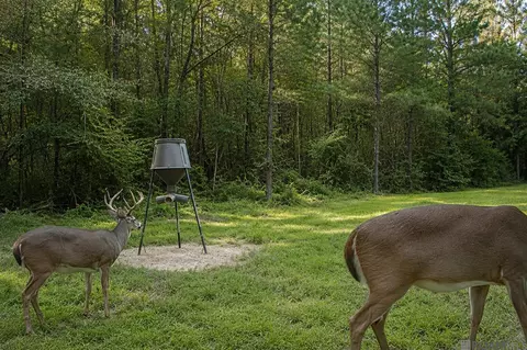 tbd Jerusalem Rd, Liberty, MS 39645 photo 30