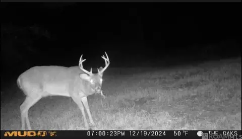 tbd Jerusalem Rd, Liberty, MS 39645 photo 34