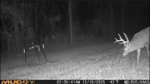 tbd Jerusalem Rd, Liberty, MS 39645 photo 35