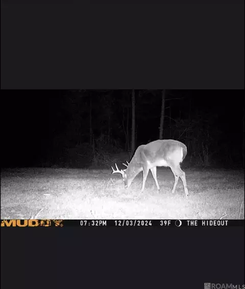 tbd Jerusalem Rd, Liberty, MS 39645 photo 32