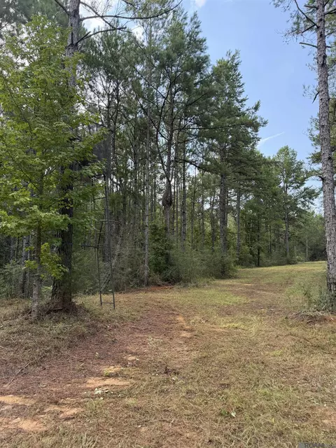 tbd Jerusalem Rd, Liberty, MS 39645 photo 4