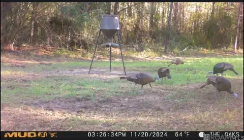 tbd Jerusalem Rd, Liberty, MS 39645 photo 28