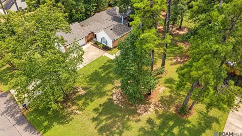 View/Area - 31535 River Pines Dr, Springfield, LA 70462 photo 2 of 2
