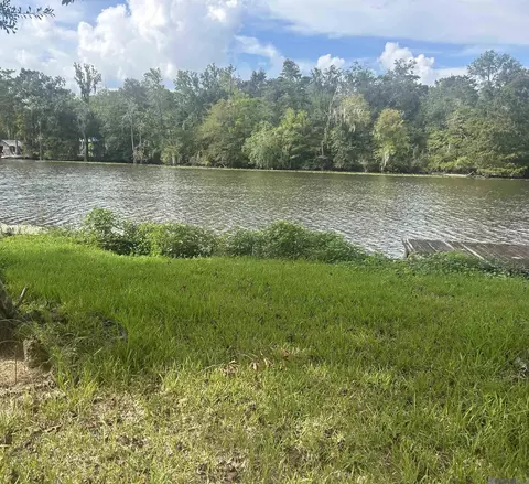 18917 River Bend Rd, Maurepas, LA 70449 photo 3