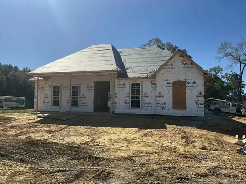 15971 J Baughman Aly, Walker, LA 70785 photo 4
