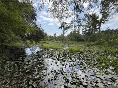 39330 W Brickyard Rd, Hammond, LA 70403 photo 4