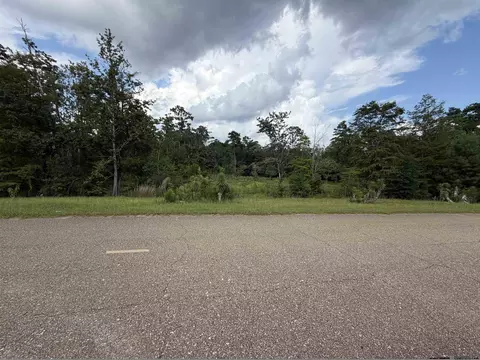 39330 W Brickyard Rd, Hammond, LA 70403 photo 6