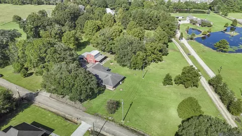 View/Area - 35013 J W Hall Rd, Walker, LA 70785 photo 5 of 7