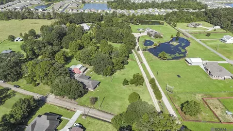 View/Area - 35013 J W Hall Rd, Walker, LA 70785 photo 6 of 7
