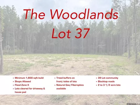 17706 Copper Pass, Livingston, LA 70754