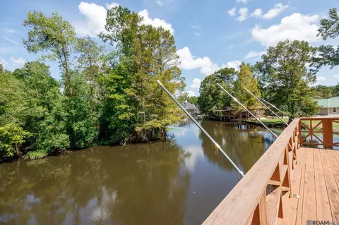 View/Area - 31792 River Pines Dr, Springfield, LA 70462 photo 1 of 4