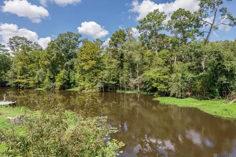 View/Area - 31792 River Pines Dr, Springfield, LA 70462 photo 4 of 4