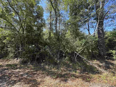 18943 Austin St, Springfield, LA 70462 photo 12