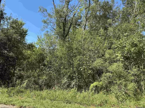 18943 Austin St, Springfield, LA 70462 photo 5