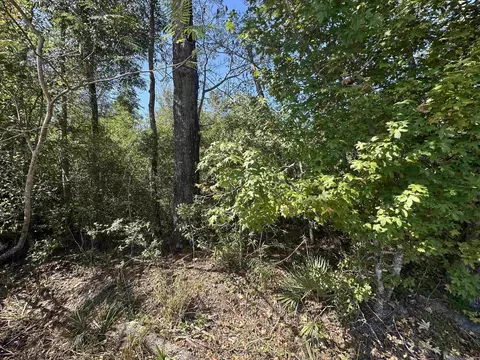 18943 Austin St, Springfield, LA 70462 photo 18