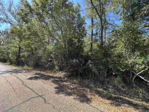 18943 Austin St, Springfield, LA 70462 photo 16