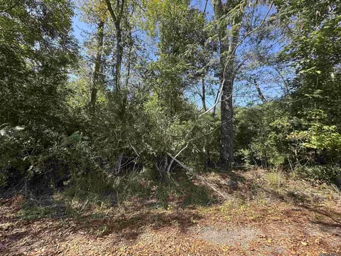 18943 Austin St, Springfield, LA 70462 photo 9
