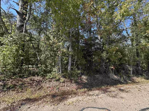 18943 Austin St, Springfield, LA 70462 photo 8