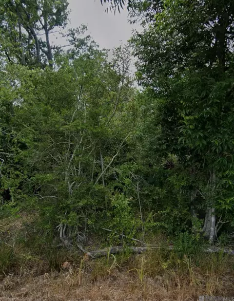 18943 Austin St, Springfield, LA 70462 photo 4