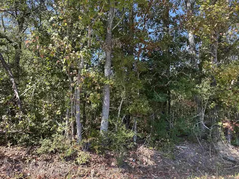 18943 Austin St, Springfield, LA 70462 photo 7