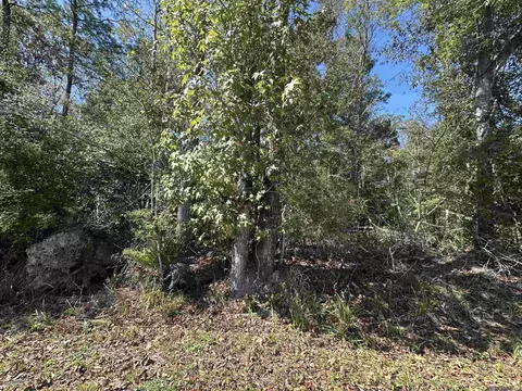 18943 Austin St, Springfield, LA 70462 photo 10