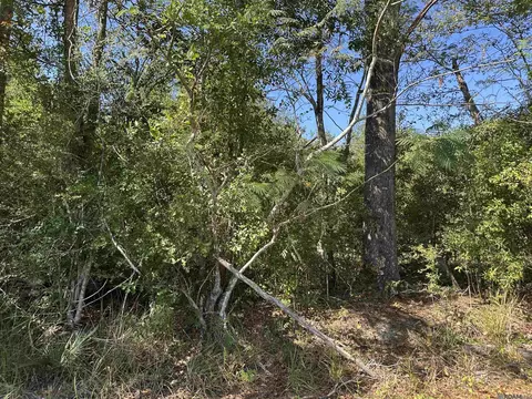 18943 Austin St, Springfield, LA 70462 photo 6