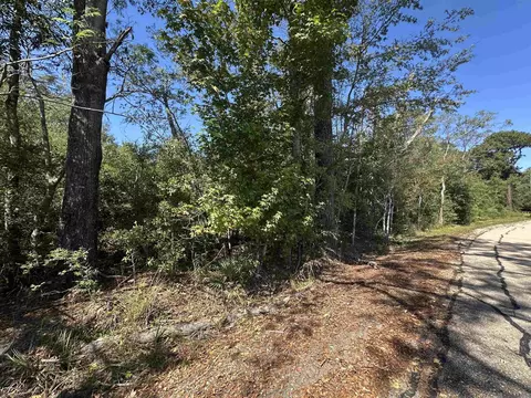 18943 Austin St, Springfield, LA 70462 photo 19