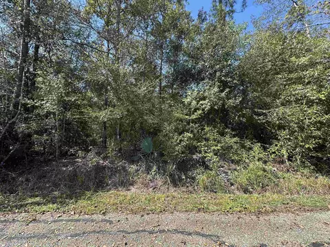 18943 Austin St, Springfield, LA 70462 photo 17