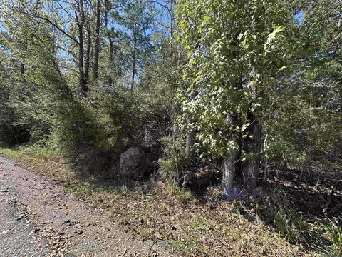 18943 Austin St, Springfield, LA 70462 photo 14