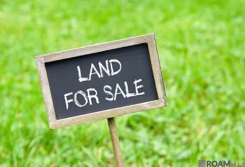 lot2 A-20 Perrilloux Rd, Livingston, LA 70754