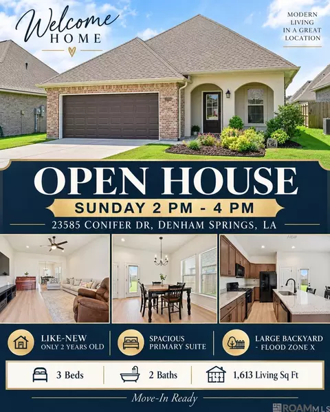 23585 Conifer Dr, Denham Springs, LA 70726