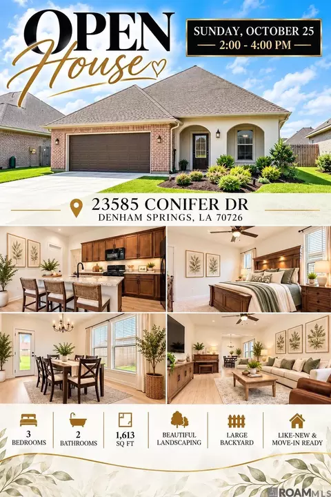 23585 Conifer Dr, Denham Springs, LA 70726