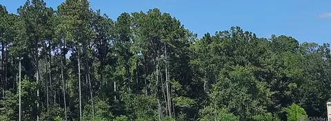 37330 Reinninger Rd, Denham Springs, LA 70706