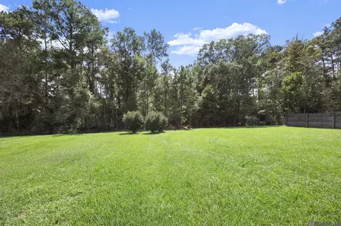 Exterior - 14176 Twelve Oaks Dr, Walker, LA 70785 photo 6 of 6