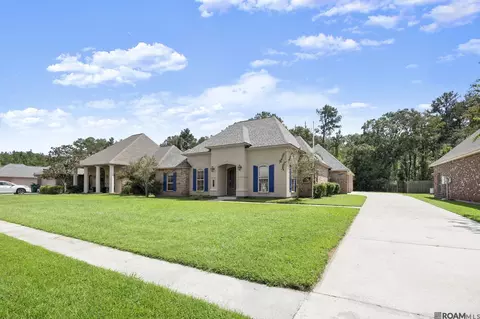 Other - 14176 Twelve Oaks Dr, Walker, LA 70785 photo 1 of 6