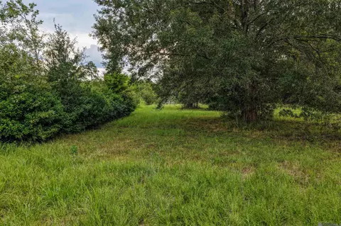 11103 Buddy Ellis Rd, Denham Springs, LA 70726