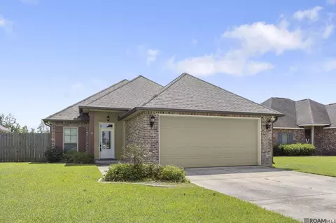 25326 White Lake Ave, Livingston, LA 70754