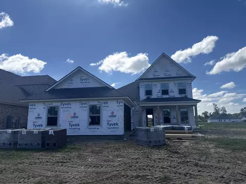 37241 Dulcito Ave, Prairieville, LA 70769