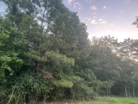 lot6 A-6 Hwy 10, Clinton, LA 70722
