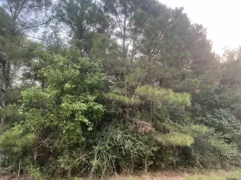 lot6 A-1 Hepzibah Rd, Clinton, LA 70722