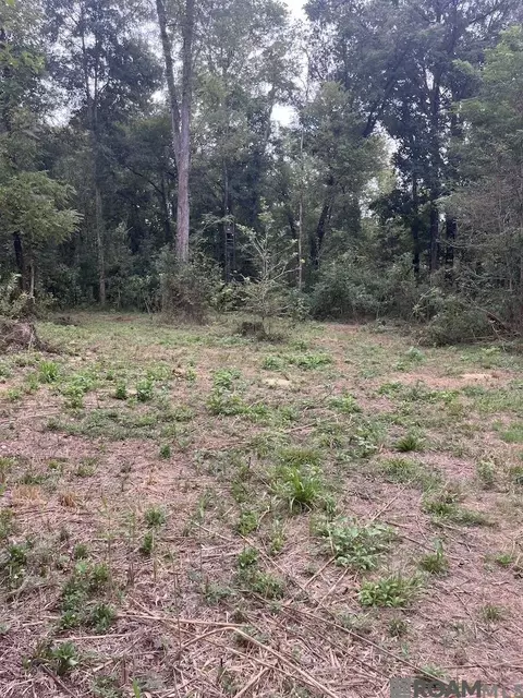 82 Sedgefield St, Natchez, MS 39120 photo 30
