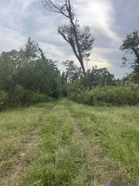 82 Sedgefield St, Natchez, MS 39120 photo 23