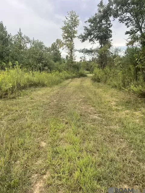 82 Sedgefield St, Natchez, MS 39120 photo 27