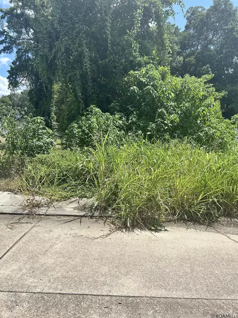 2251 Virginia St, Baton Rouge, LA 70802
