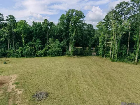 8637 Wildwood Dr, Denham Springs, LA 70706
