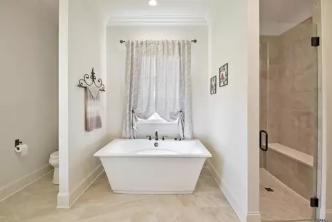 Bath - 353 Glenthorne Dr, Gonzales, LA 70737 photo 2 of 4