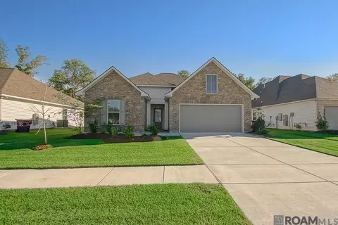 39131 Tony Christy Ave, Prairieville, LA 70769