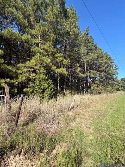 0 Coons Mill Rd, Centreville, MS 39631