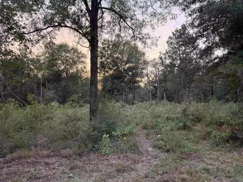 Rl9-b Phillip Richardson Rd, Holden, LA 70744