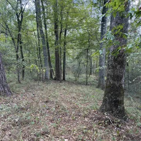 tbd Sweetwood Xing, Saint Francisville, LA 70775